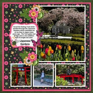 Vancouver Victoria_Blossoms-001.jpgCOPY.jpg