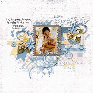 Tiny Wonder