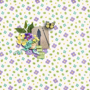 Bloom