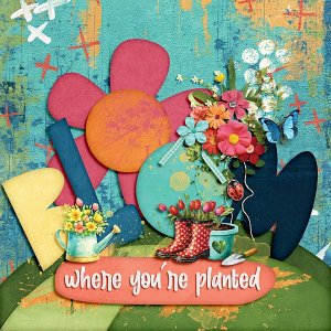 Bloom where you are planted