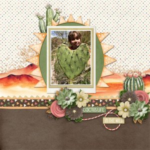 Prickly Desert