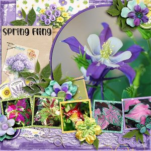Spring-Fling_web.jpg