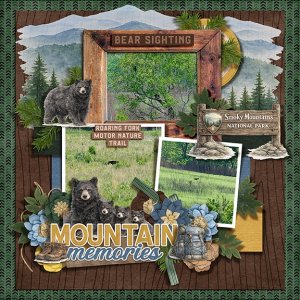 Smoky Mountain Bears
