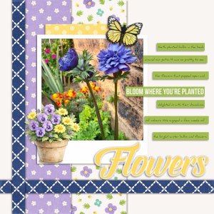 2023-07-29_Flowers