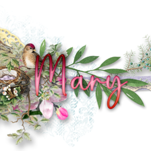 May siggy