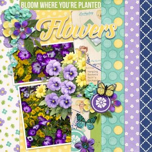 #2026-May-Flowers.jpg
