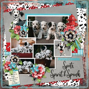 Spots, Spirit, & Spunk