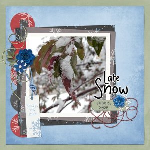 2026-05_wfd_SnowTime_Mfish_Feb2_2018_ChallengeTemp.jpg
