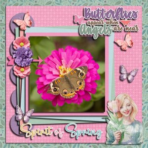 Butterflies Appear When Angels Are Near