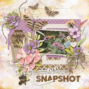 Snapshot