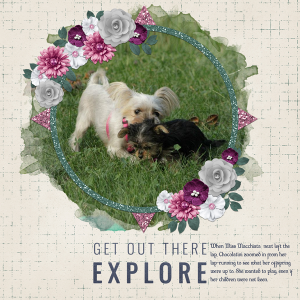 Get out there and Explore