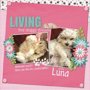 Luna Awkward Much 04-27-26