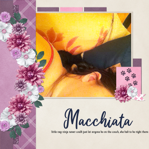 Macchiata the Nap Ninja