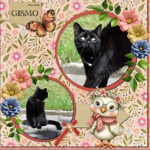 2026-May-Template Challenge #1 - GIZMO.jpg