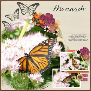Monarch