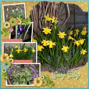 Spring Glory