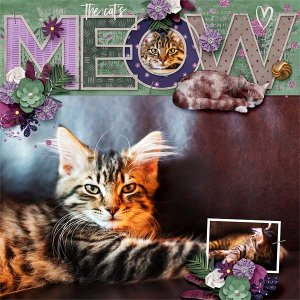 Meow
