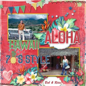 Hawaii 70s Style