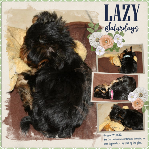 Lazy Saturdays