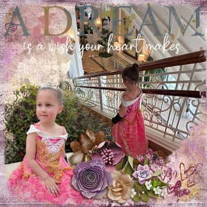 A Dream is a Wish your Heart Makes
