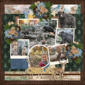Cabela's