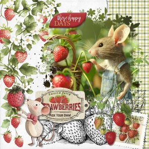 DLPatt_Sweet&JuicyStrawberries_web.jpg