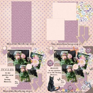 May.2026-Slowscrap all 4 steps.jpg