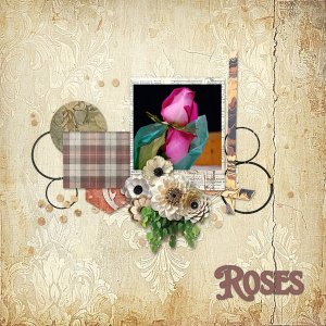 Roses