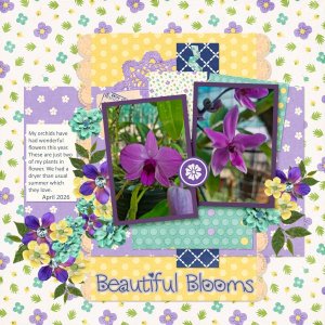Beautiful Blooms