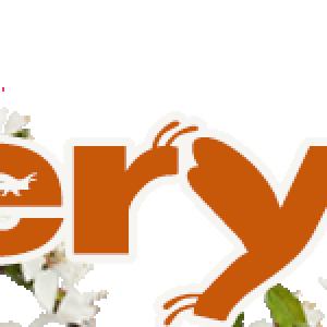 Siggy Challenge