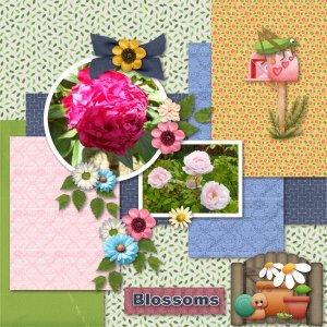 Blossom