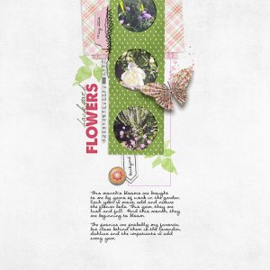 Backyard-Flowers.jpg