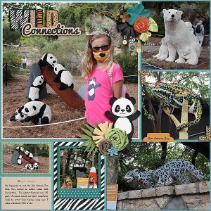 San Antonio Zoo 2020 - Wild Connections