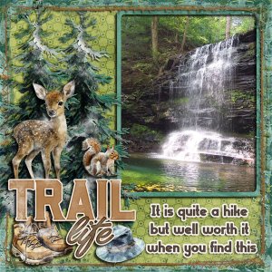 The Trail