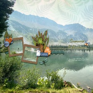 Summer reflection.jpg