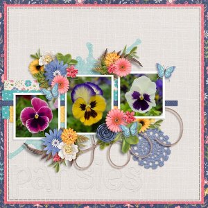 Joyful-Bliss-DD-Pansies.jpg