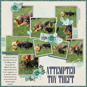 Attempted Toy Theft