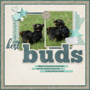 Best Buds