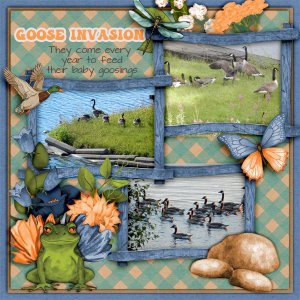 Goose-invasion.jpg