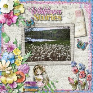 Field of Wildflowers