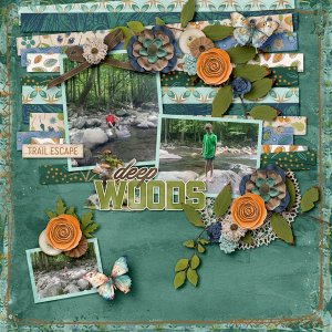 Wayfarer-Layout-web600.jpg