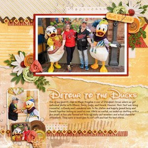 Detour to the Ducks