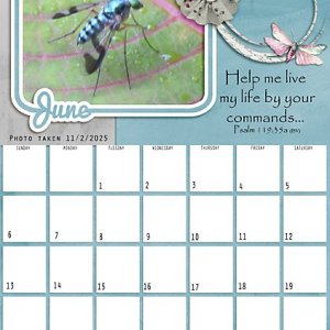 2027 Calendar Page for June