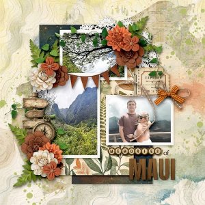 Memories of Maui