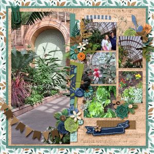 San Diego Botanical Gardens