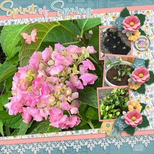 The-Spirit-of-Spring-web.jpg