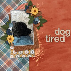 Dog Tired