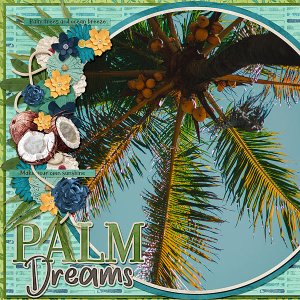Palm Dreams