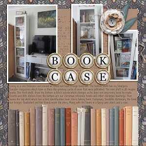 Our Book Case