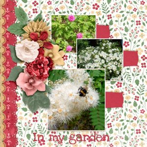 In-my-garden.jpg